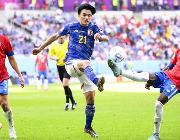 的整体计划 的整体计划